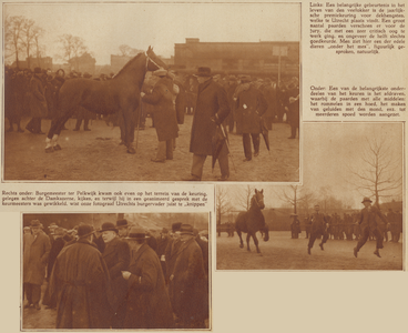 874195 Collage van 3 foto's betreffende de dekhengstenkeuring achter de Damlustkazerne (Mineurslaan 4) te Utrecht, die ...